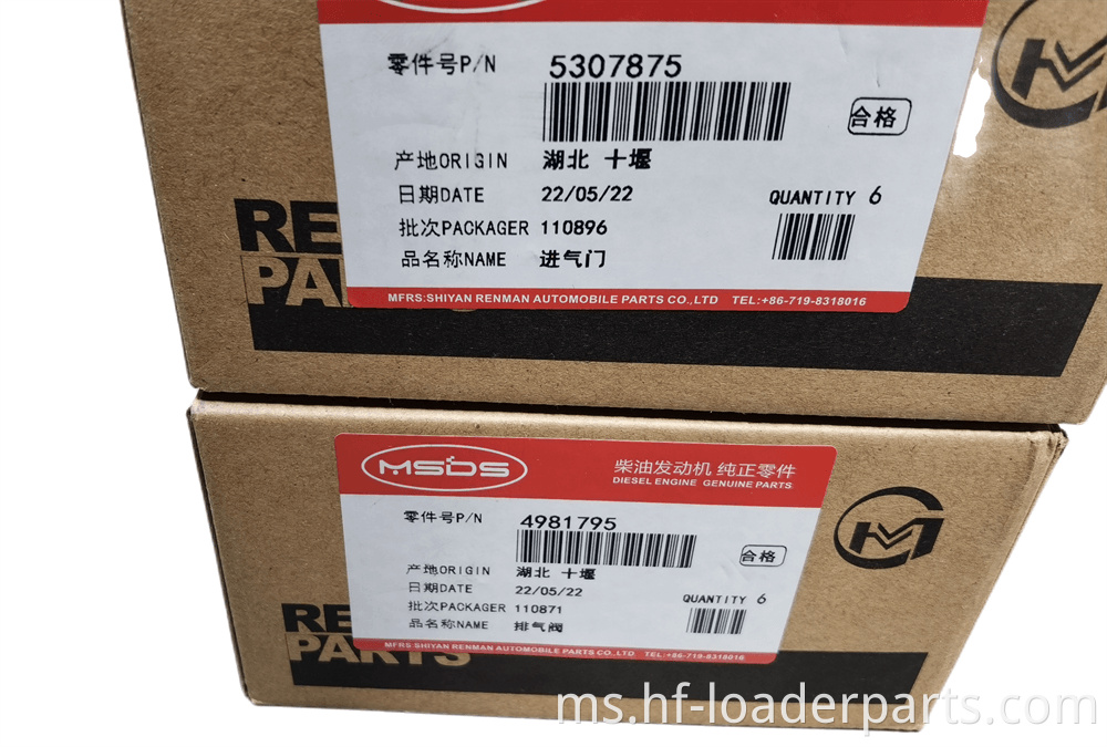 IMG 20220616 110138 Img 20220616 110138